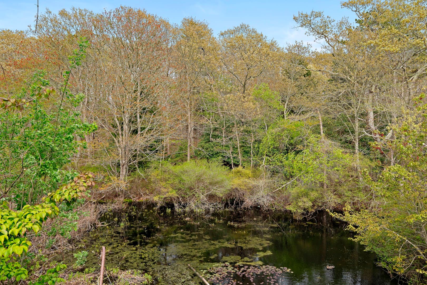 Image 3 - 496 Lamberts Cove Road