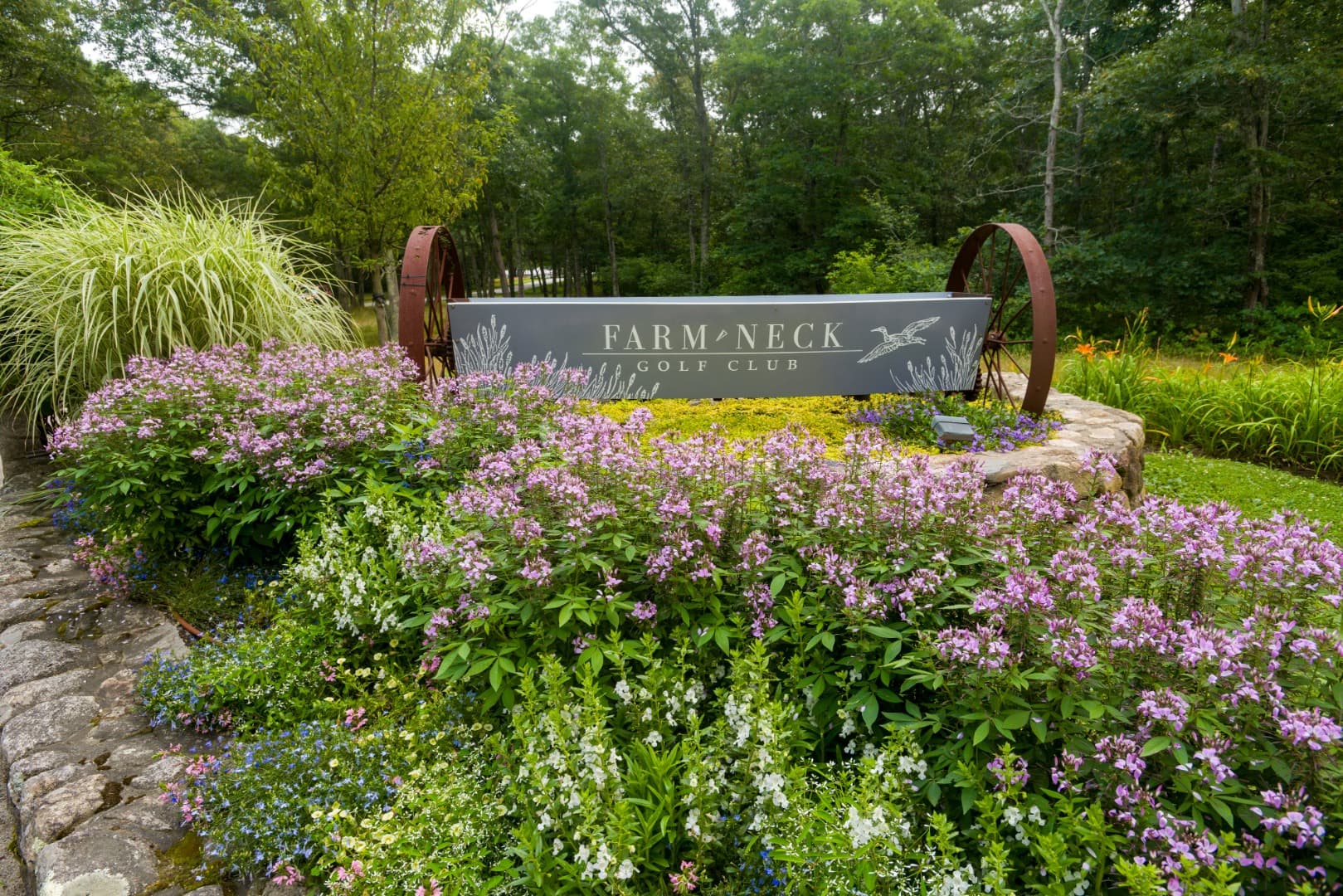 12 Tamarack Lane